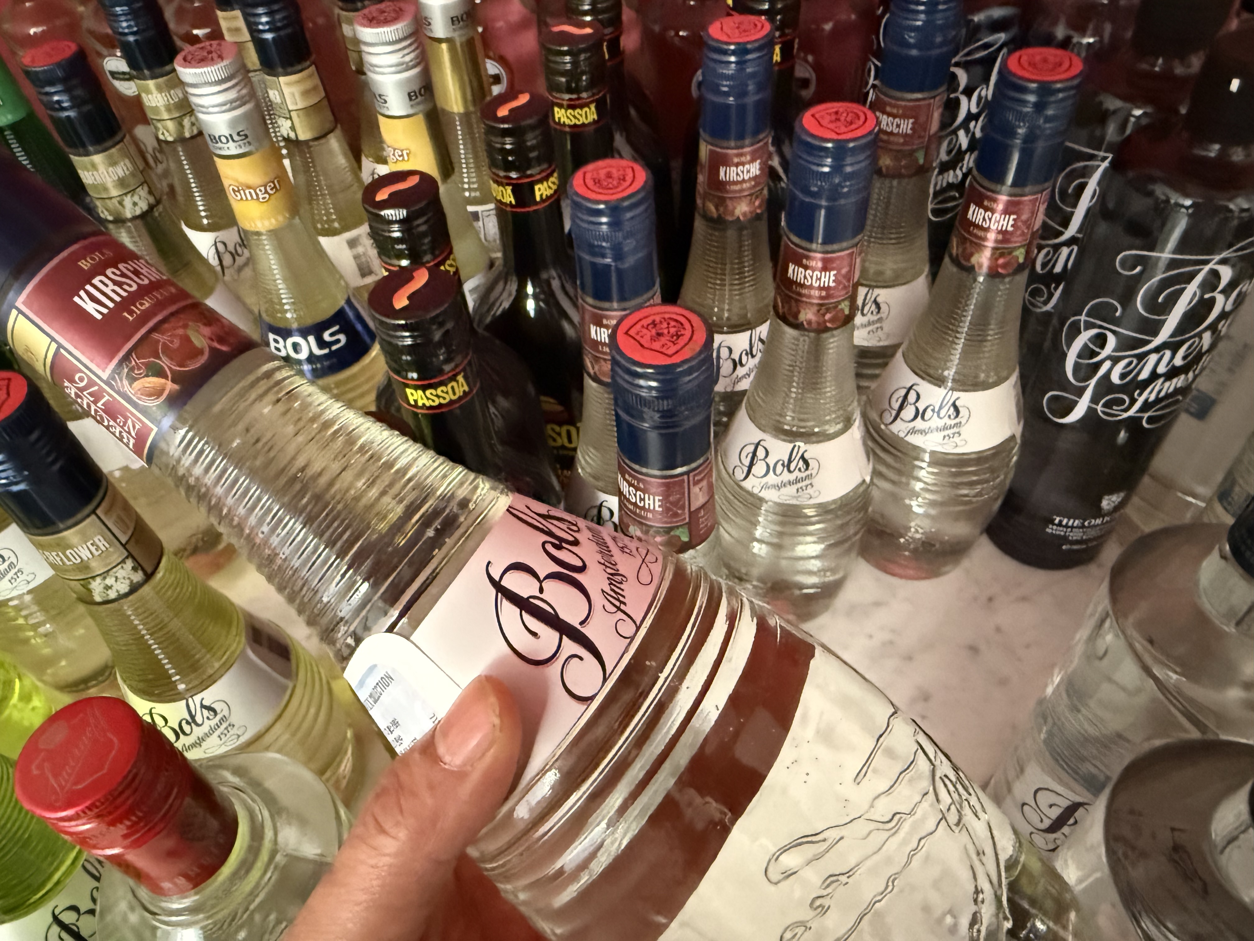 평균가 경매:) 키르쉬의 가치는? - 3명 1