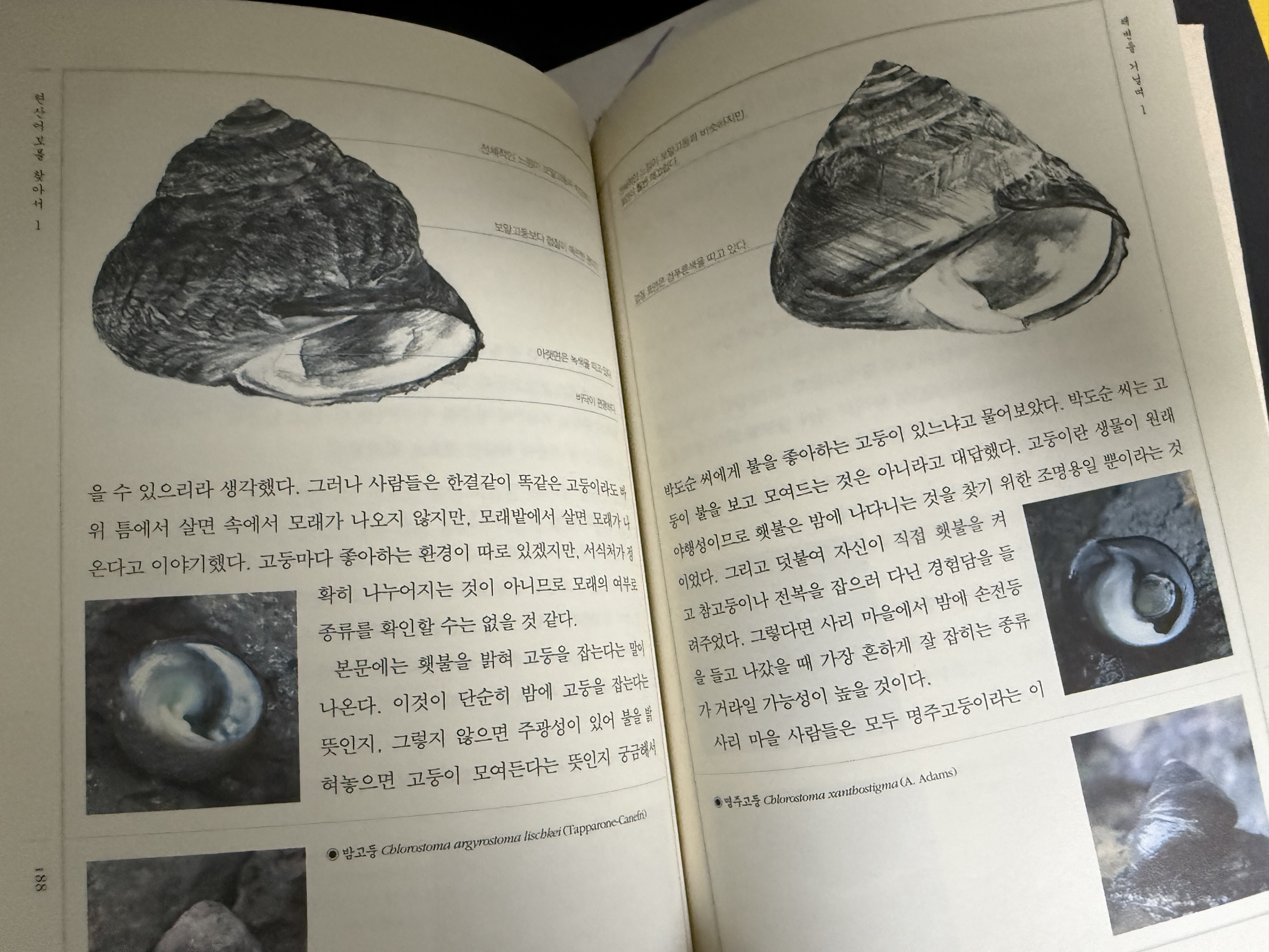 드라마 옥션:) 현산어보를 찾아서 1 1