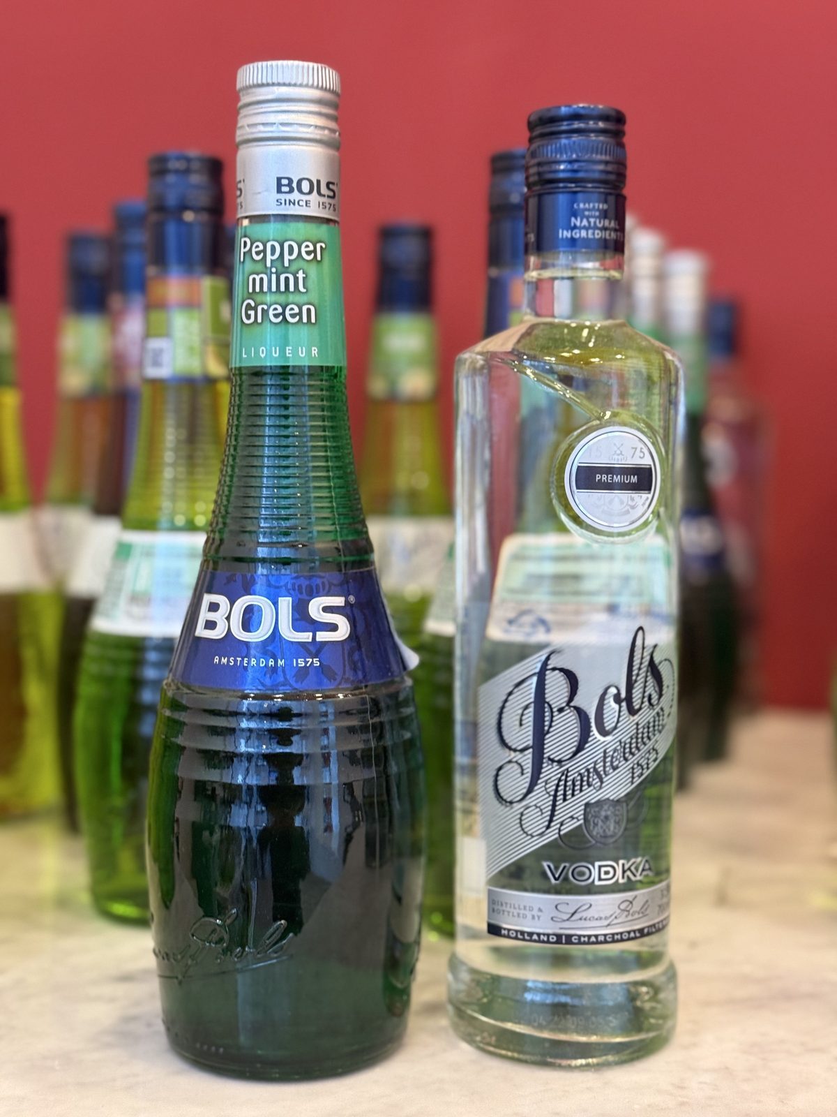 서비스 경매:) 민트파를 위한~